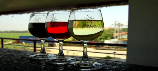 Sula wine Nashik darshan